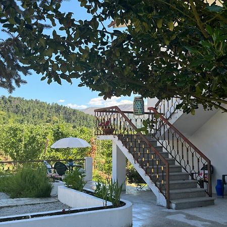 Casa Vicente Βίλα Lamego Εξωτερικό φωτογραφία
