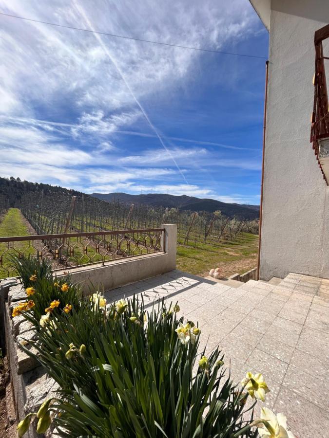 Casa Vicente Βίλα Lamego Εξωτερικό φωτογραφία