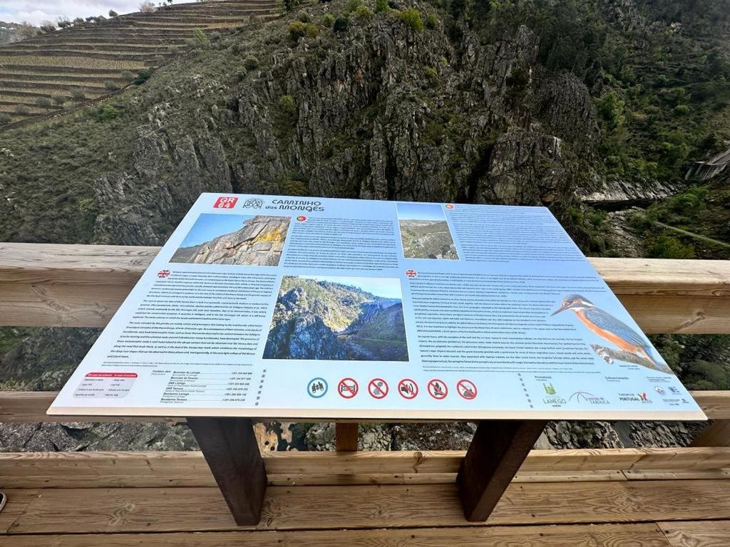 Casa Vicente Βίλα Lamego Εξωτερικό φωτογραφία