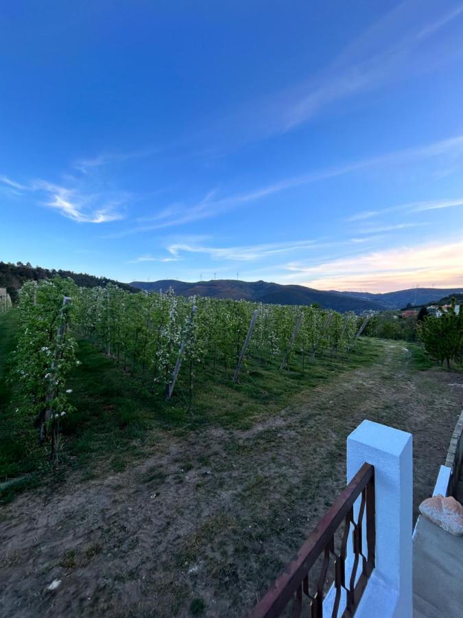 Casa Vicente Βίλα Lamego Εξωτερικό φωτογραφία
