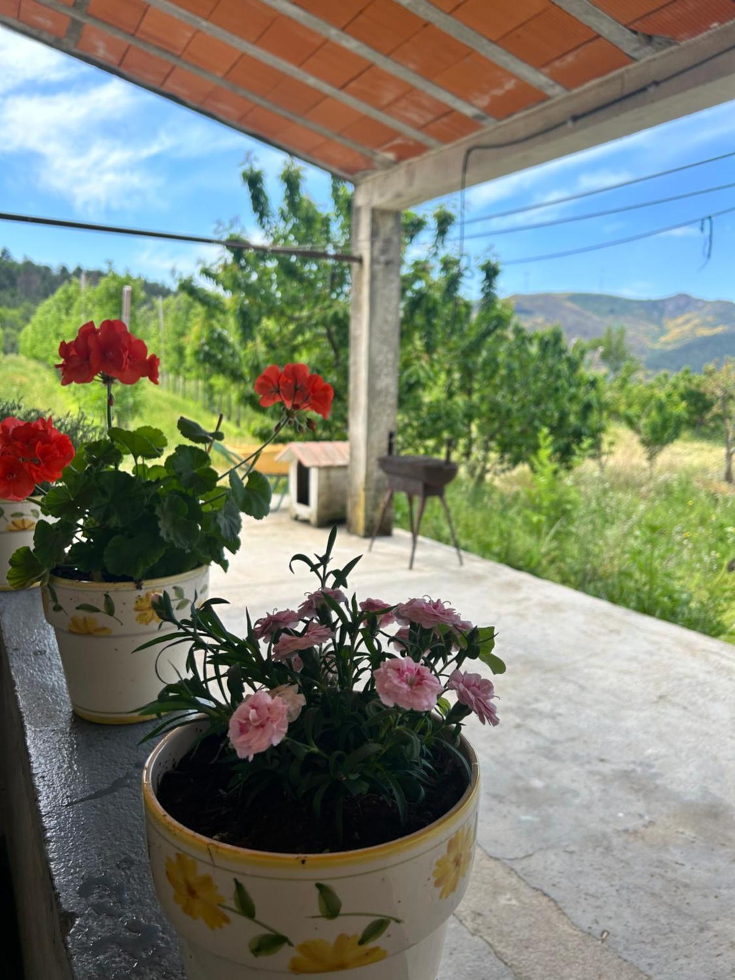 Casa Vicente Βίλα Lamego Εξωτερικό φωτογραφία