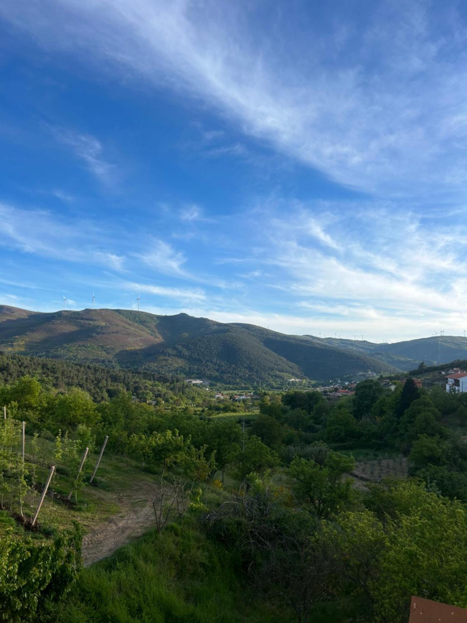 Casa Vicente Βίλα Lamego Εξωτερικό φωτογραφία