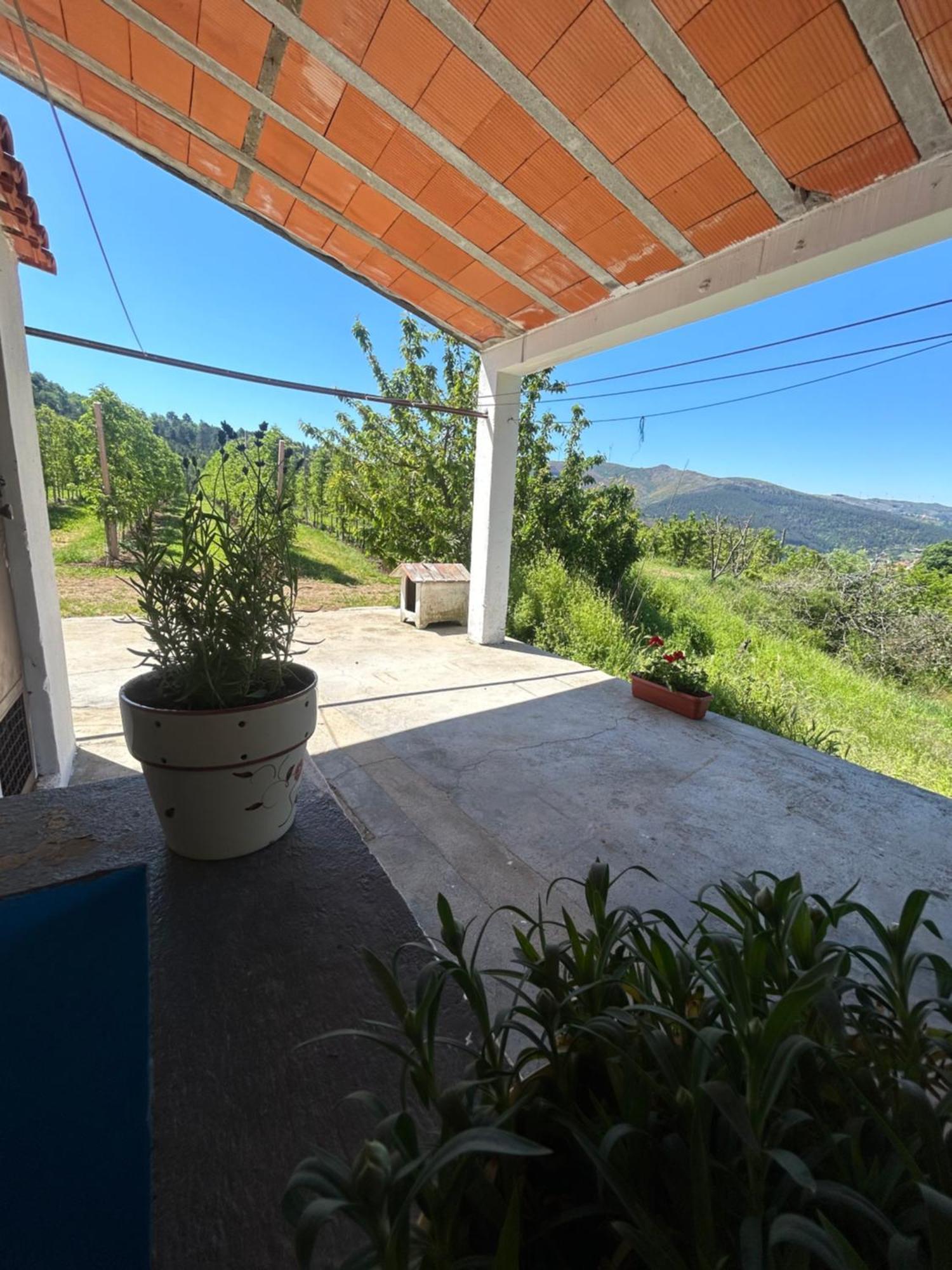 Casa Vicente Βίλα Lamego Εξωτερικό φωτογραφία