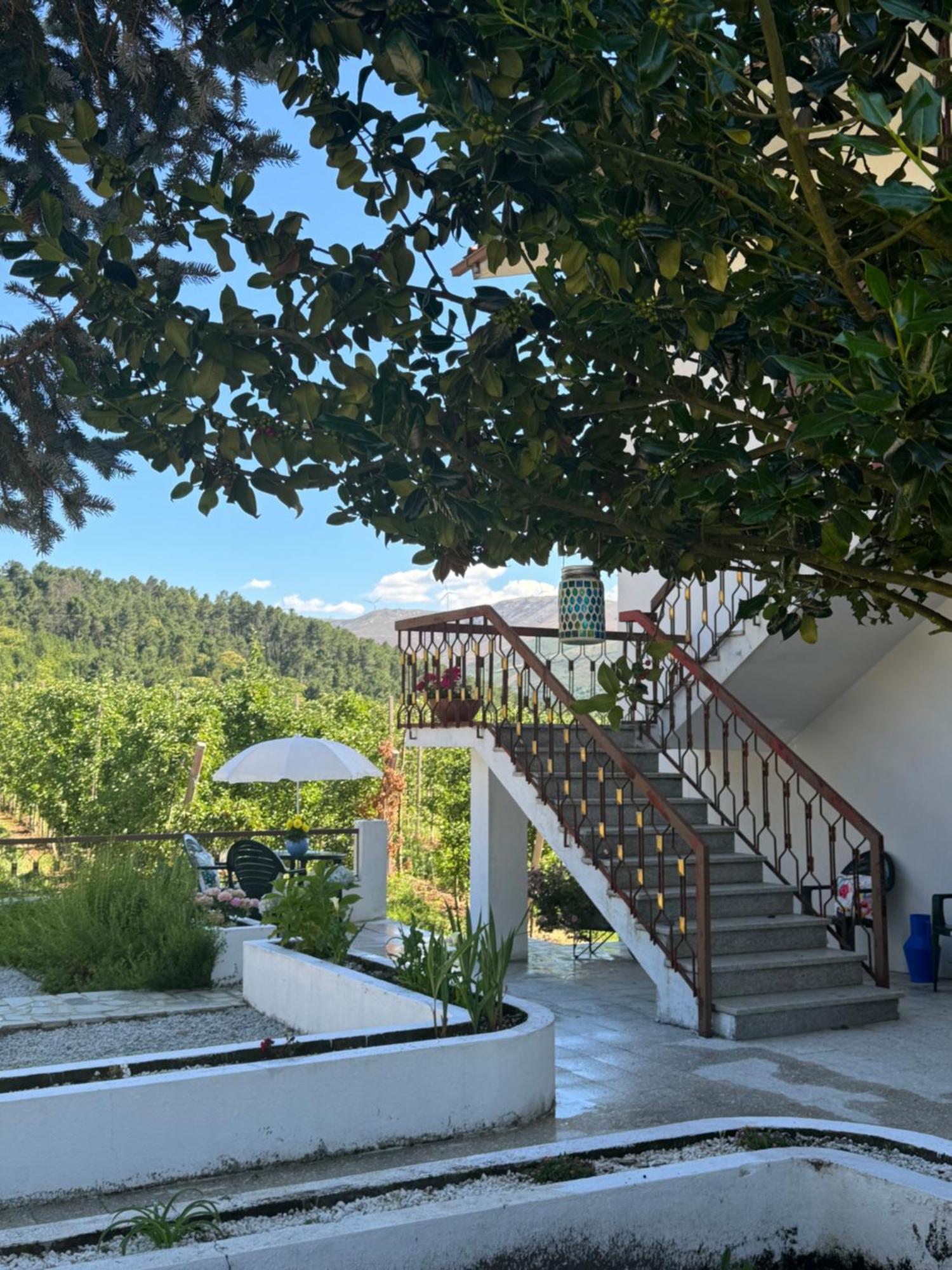 Casa Vicente Βίλα Lamego Εξωτερικό φωτογραφία