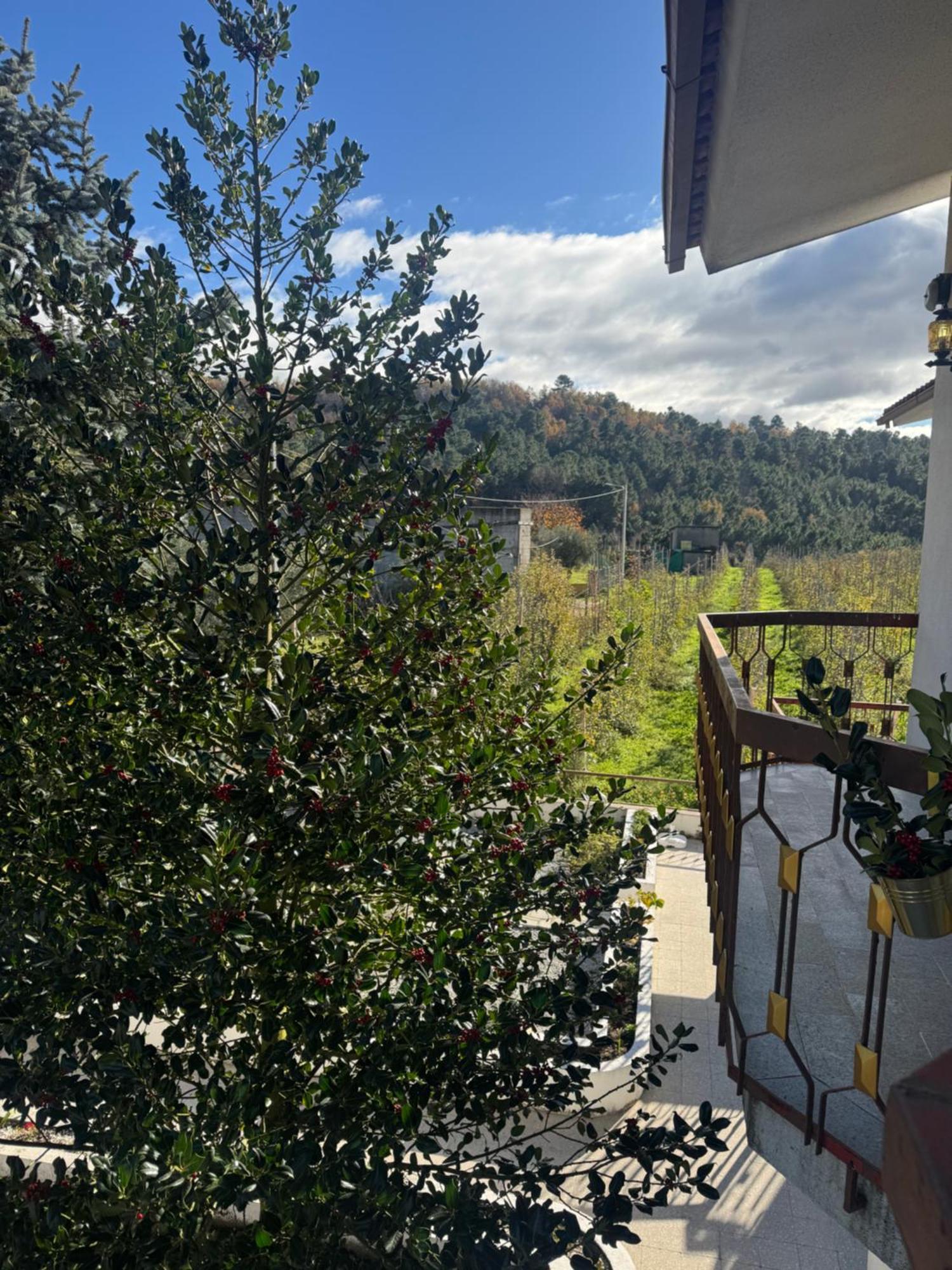 Casa Vicente Βίλα Lamego Εξωτερικό φωτογραφία